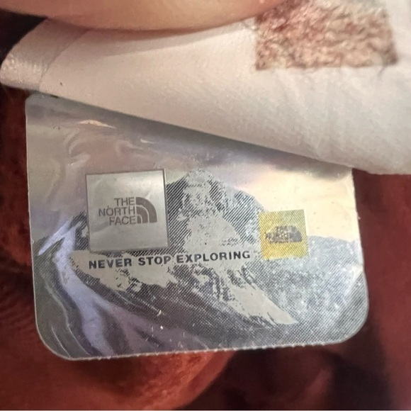 THE NORTH FACE Men's Large Red Bear Pullover Hoodie Sweatshirt TNF - Picture 12 of 15